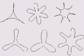     FreeHand
