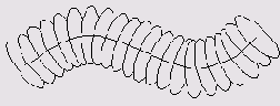     FreeHand 9.0
