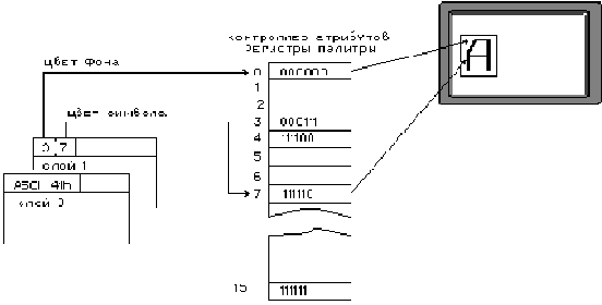   CGA, EGA  VGA
