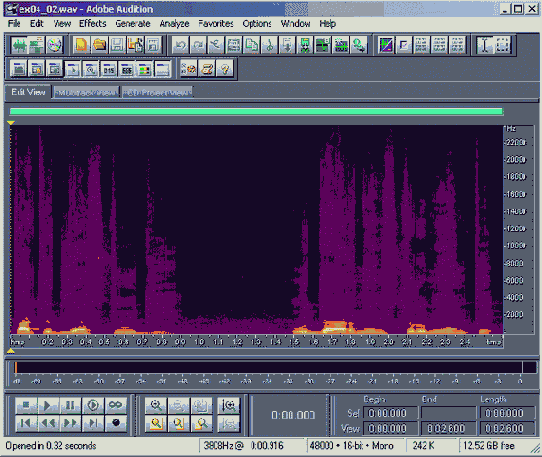 Обработка звука в Adobe Audition 1.5