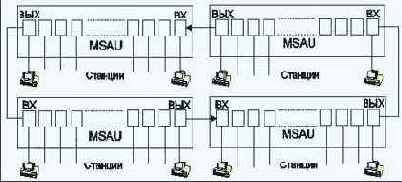 IEEE (Token Ring)