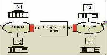 IEEE (Token Ring)