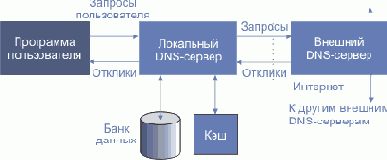 DNS (,  ,  )