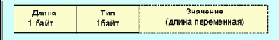 IEEE (Token Ring)
