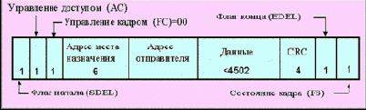 IEEE (Token Ring)