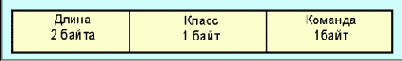 IEEE (Token Ring)