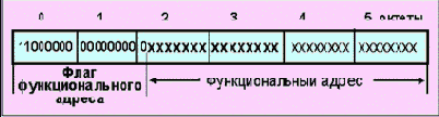 IEEE (Token Ring)