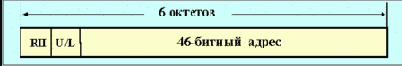 IEEE (Token Ring)