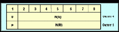   ISDN