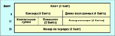  XTP