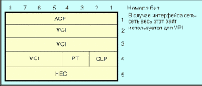  DQDB (    )