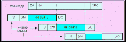  DQDB (    )