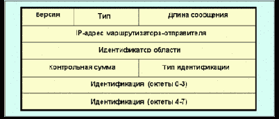  OSPF ( )