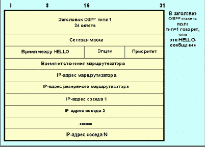  OSPF ( )
