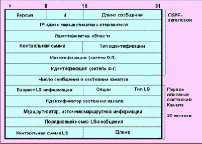  OSPF ( )