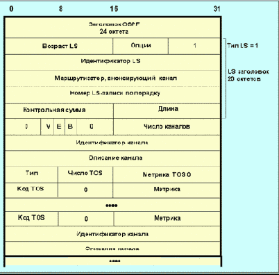  OSPF ( )