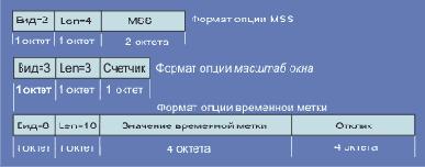 TCP